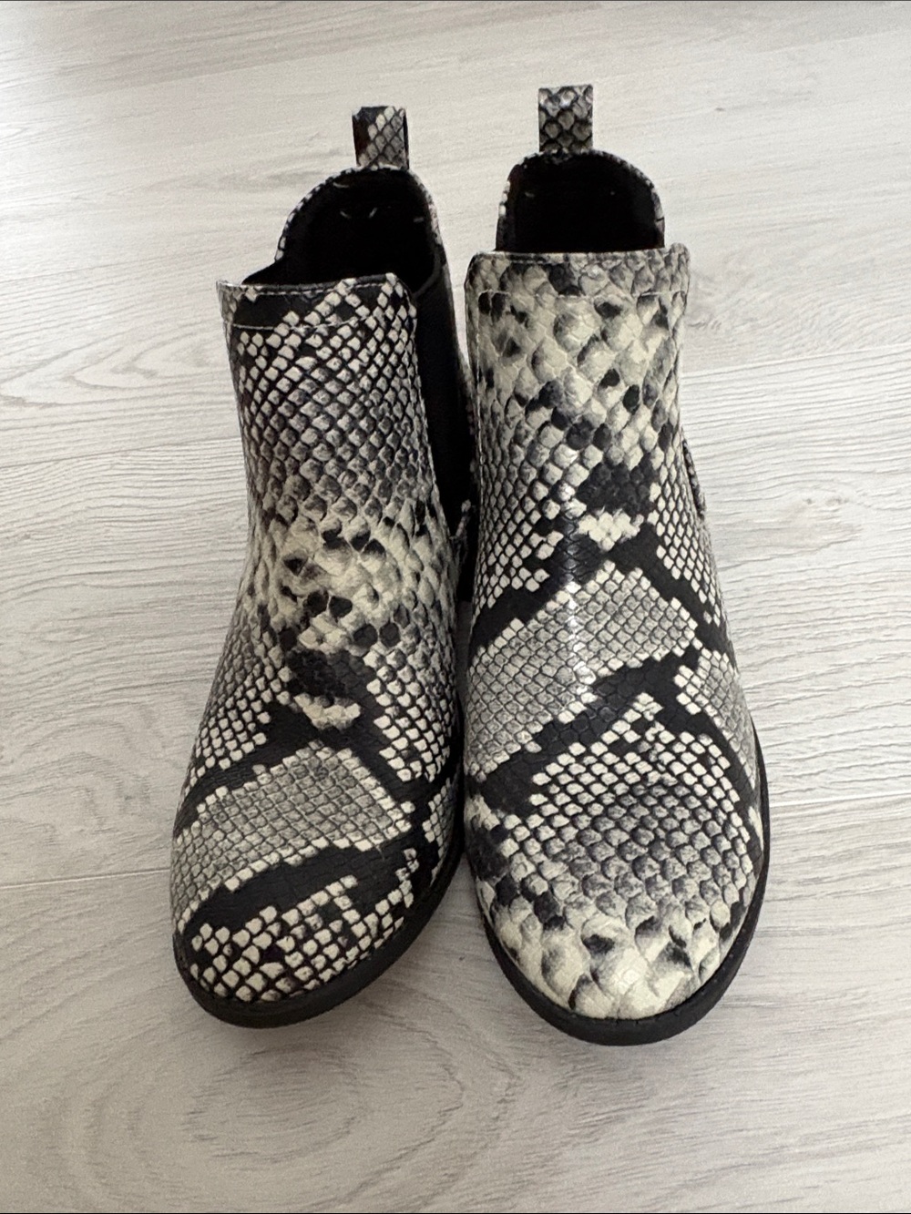 Cityclassified Snake-Print Pull-On Ankle Boots in Black & Cream